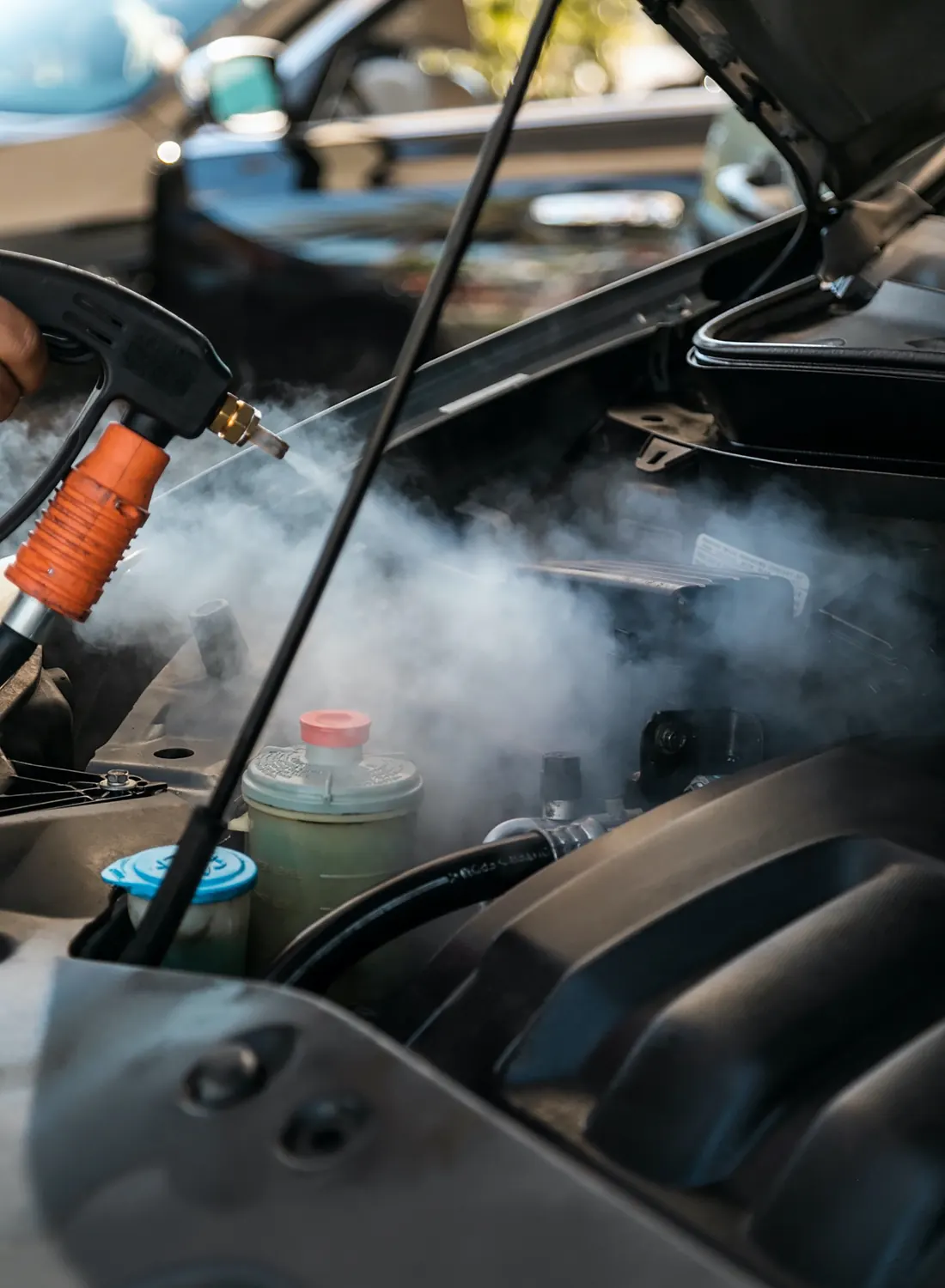 Car steam cleaning and mobile detailing